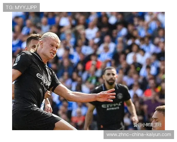 哈兰德家乡足球场排长龙签名，粉丝感动到落泪